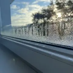 Dlaczego mam mokre okna w domu? Oto przyczyny i skuteczne rozwiązania