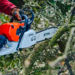 Ręce w rękawicach trzymają piłę łańcuchową, tnąc gałąź. Dowiedz się, jak uniknąć kary za wycięcie drzewa bez zezwolenia.