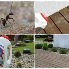 Mrówki nie lubią proszku rozsypywanego na drewnianym tarasie i w ogrodzie.