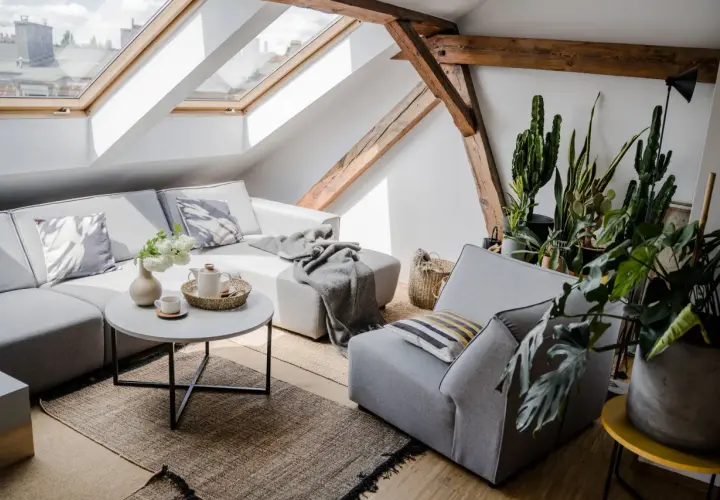Przytulny salon z szarą kanapą, narzutą, poduszkami i roślinami. Dodatki tworzą ciepłą atmosferę.