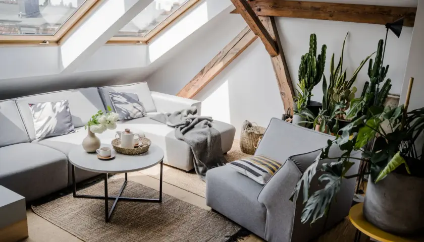 Przytulny salon z szarą kanapą, narzutą, poduszkami i roślinami. Dodatki tworzą ciepłą atmosferę.