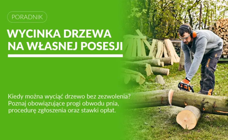 Wycinka drzew bez zezwolenia - Kiedy wystarczy samo zgłoszenie?