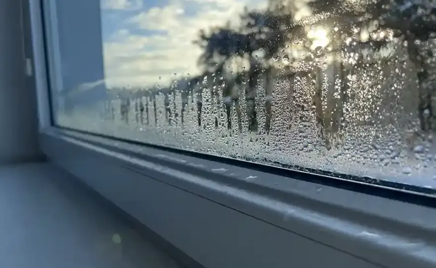Dlaczego mam mokre okna w domu? Oto przyczyny i skuteczne rozwiązania