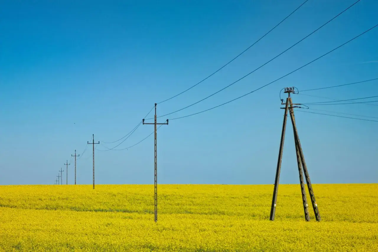 Linia słupów energetycznych, każdy z nich to słup na działce ponad 30 lat, przecina pole kwitnącego rzepaku pod błękitnym niebem.