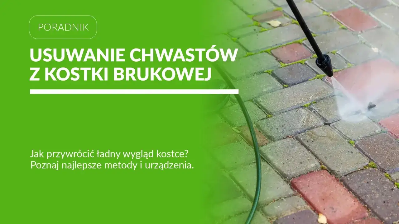 Usuwanie chwastów z kostki brukowej za pomocą myjki ciśnieniowej. Poznaj skuteczne metody na pozbycie się niechcianej roślinności.