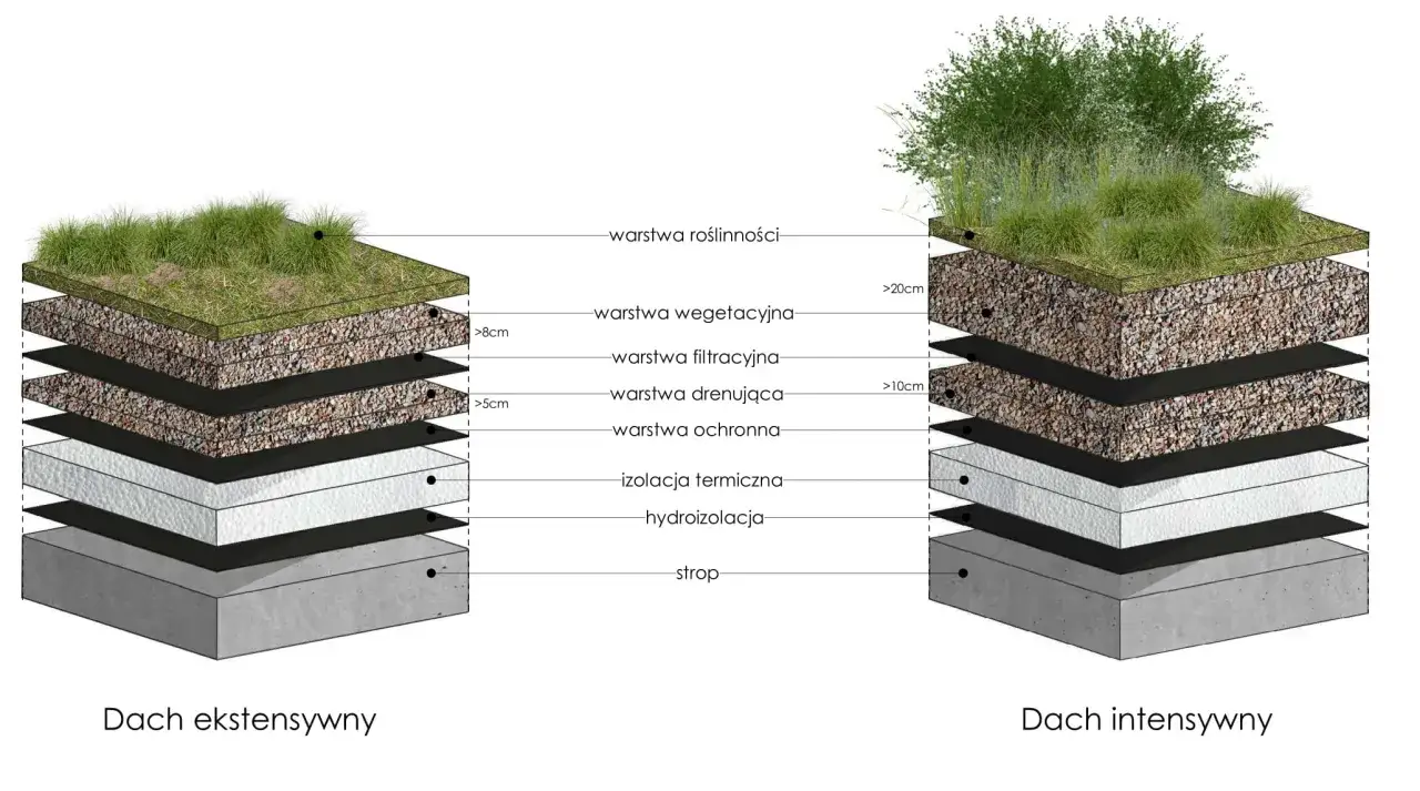 Schemat dwóch typów zielonych dachów: ekstensywnego i intensywnego, z widocznymi warstwami budowy.